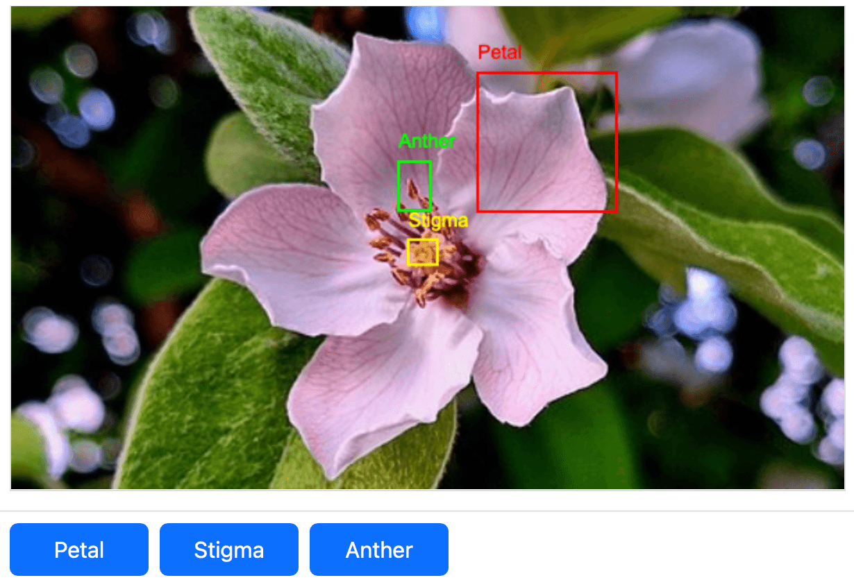 Image Annotation