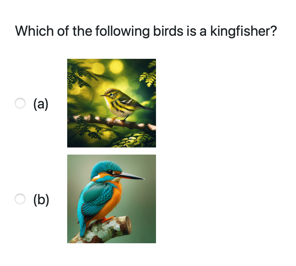 Images answers